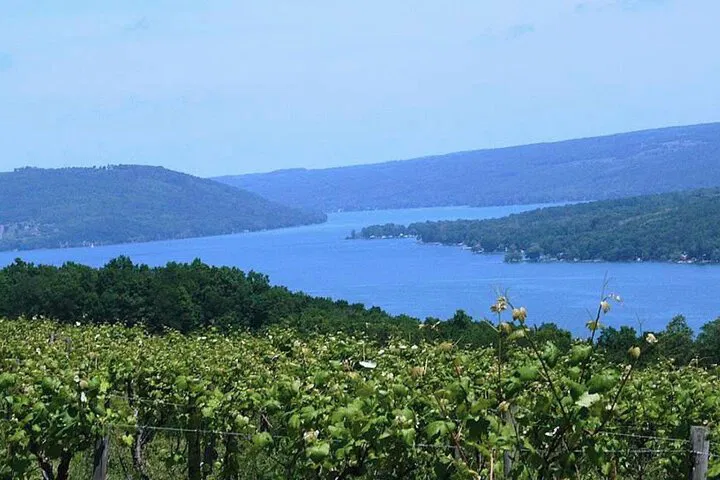 Keuka Lake Wine Tour: A Finger Lakes Vineyard Adventure