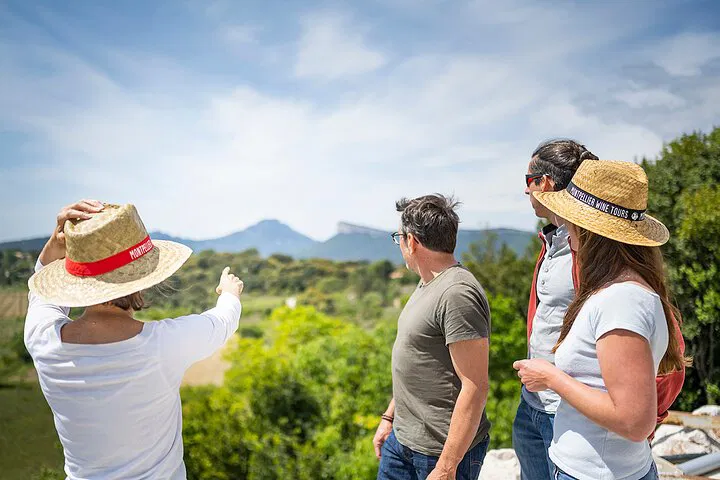 Pic Saint-Loup Wine Tour: Taste Languedoc!