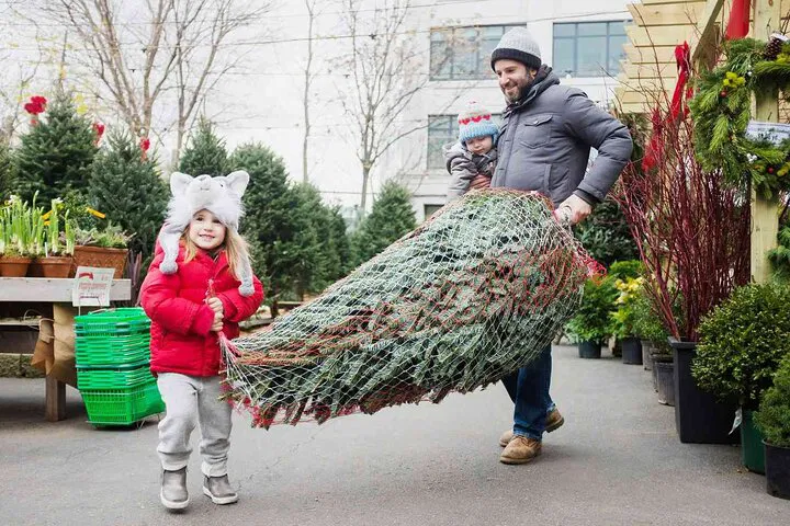 Enchanting NYC Christmas: A Festive Holiday Tour