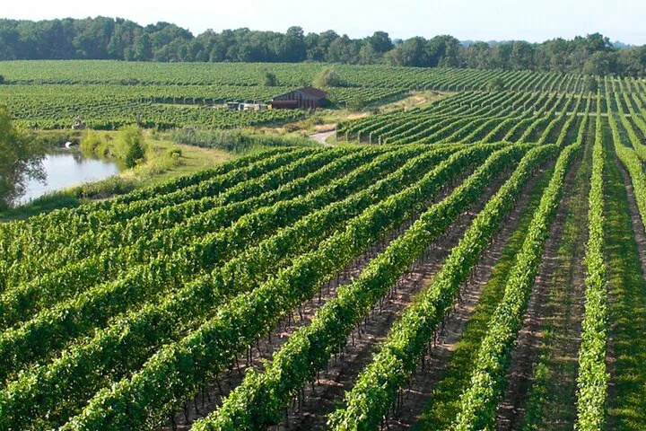 Niagara-on-the-Lake Wine Tour: Sip, Savor, and Explore!