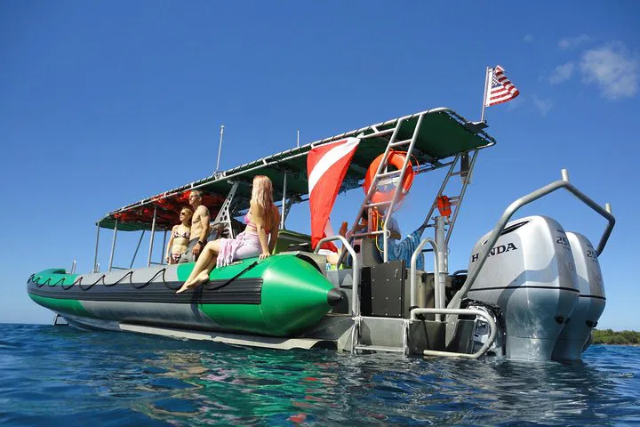 Maui's West Coast Snorkel Adventure: Turtles, Reefs & Gourmet Treats!