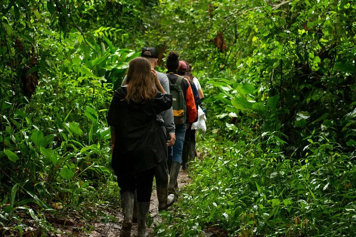 Phuket's Best: A Private Tour of Culture, Nature, and Gems!