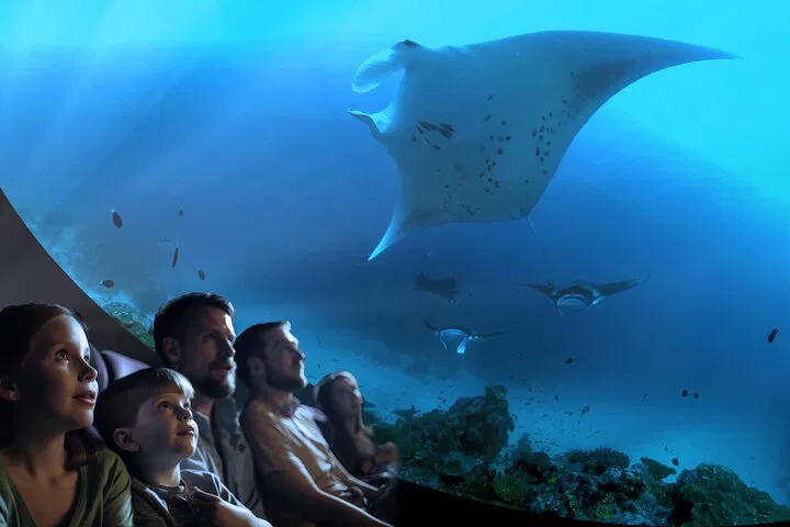 Dive Deep: Catalina's 360° Ocean Movie Adventure