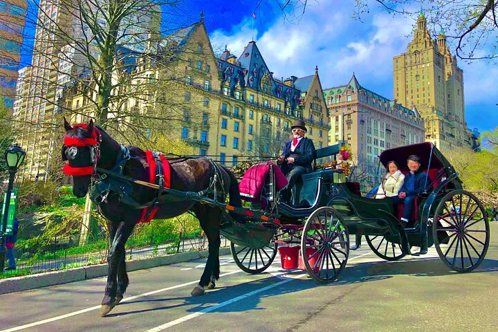 Central Park VIP Carriage Ride: A Timeless NYC Experience