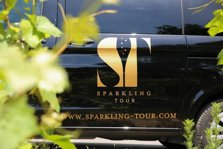 Discover Champagne's Best: A Private Grower Tour from Reims
