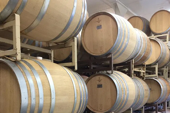 San Diego to Temecula Wine Tour: Taste & Explore!