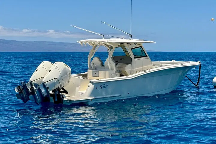 Maui Luxury Private Boat Tour: Snorkel & Sightsee!