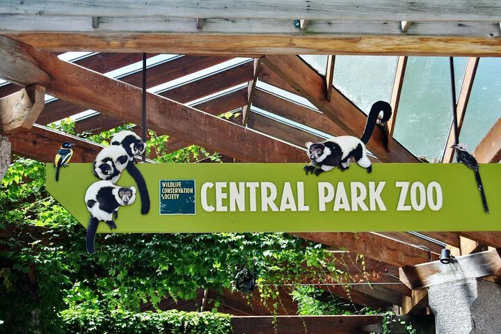 NYC Adventure: Explore Wall Street, Little Italy & Central Park Zoo!