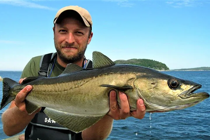 Reel in the Big One: Private Guided Sea Fishing Adventure off Donegal's Untamed Coast