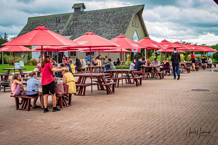Uncork Niagara: Private Wine, Beer & Spirits Adventure