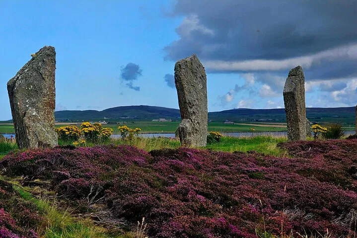 Discover Orkney's Treasures: A Personalized Scapa Flow Tour