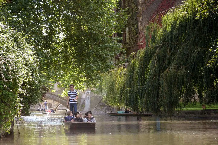 Glide Through Cambridge: A Shared Punting Adventure on the River Cam