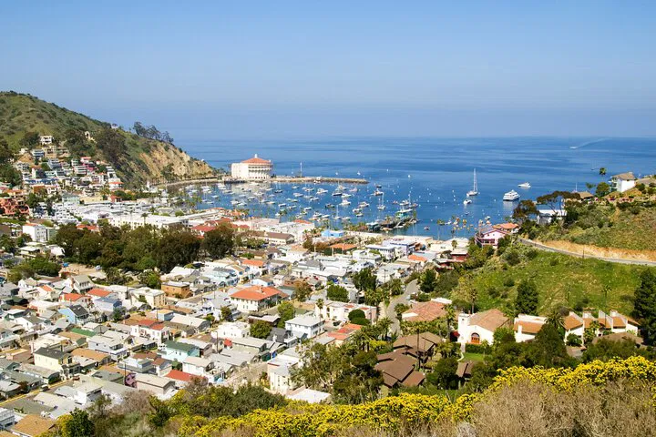Discover Avalon's Charms: A Personalized Walking Tour