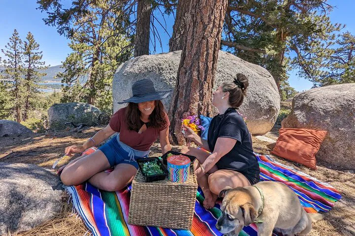 Big Bear Lake Jeep Tour: Gourmet Picnic & Forest Adventure!
