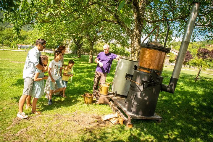 Lavender Distillation Workshop in Vercors: Essential Oil Souvenir