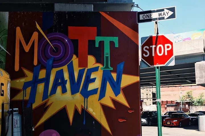 Bronx French Tour: Culture, Art & Baseball!