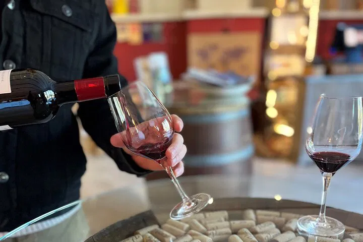 Savor Provence: A Full-Day Wine & Cheese Escape from Marseille