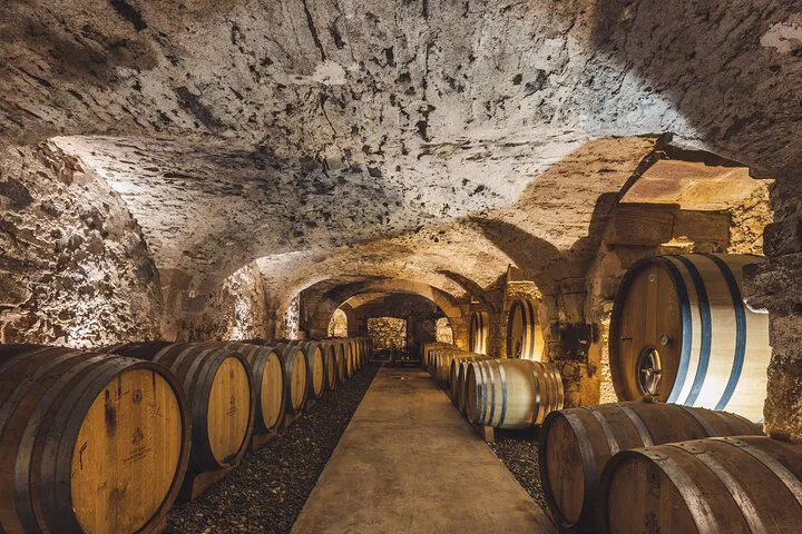 Provence Wine Tour: Taste Rosé & Explore Vineyards
