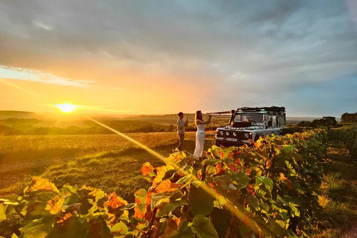 Champagne Sunset Tasting: Vineyard Views & Bubbly