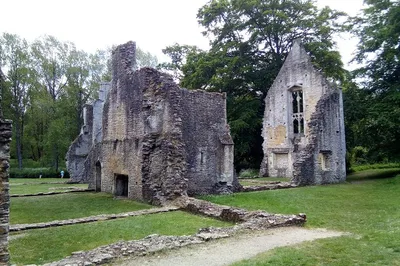 Image 1