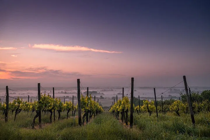Niagara's Best: Custom Winery Tour from Niagara Falls, NY