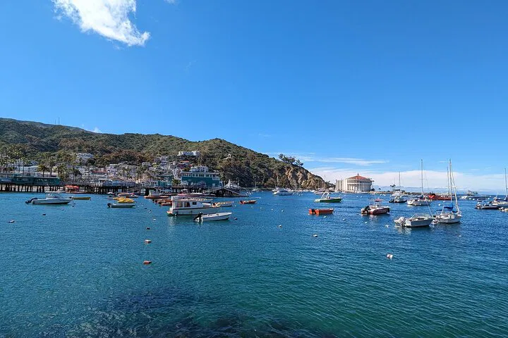 Uncover Avalon's Hidden Gems: A Catalina Scavenger Hunt Adventure!