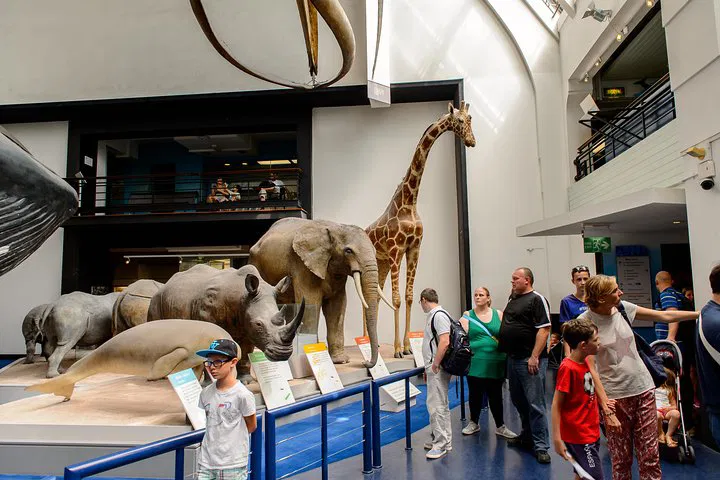 Roar into History: Family Dinosaur Adventure at London's Natural History Museum