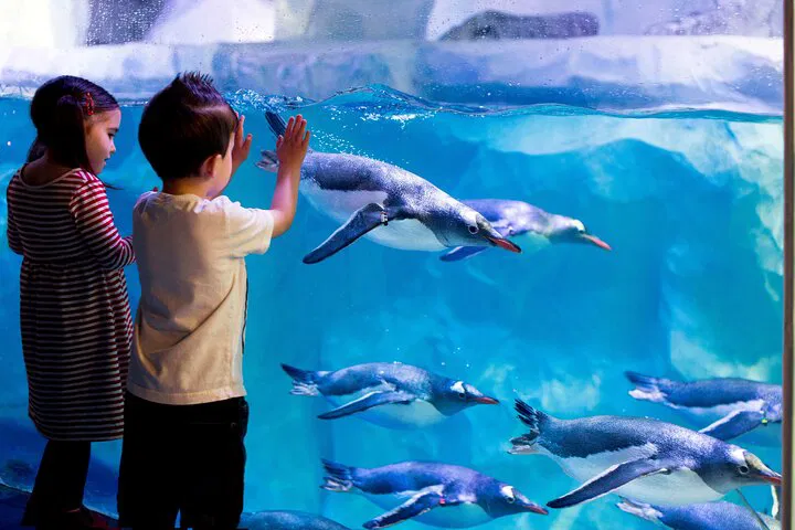 Dive into Wonder: SEA LIFE Paris Underwater Adventure