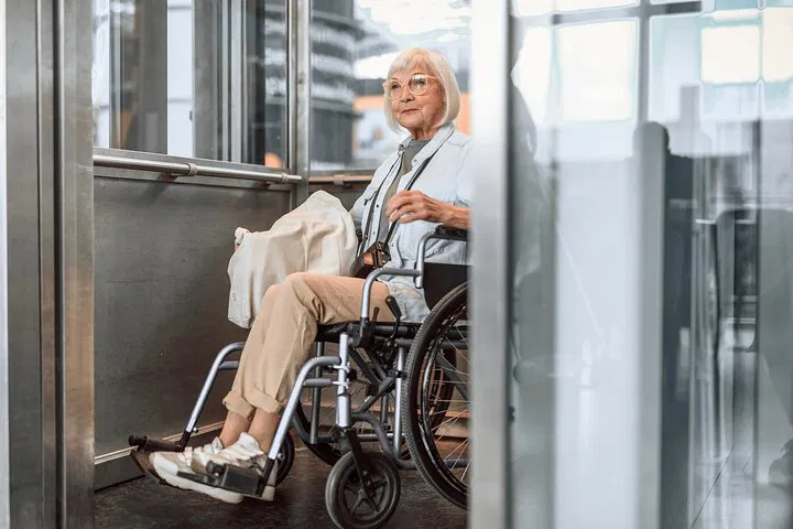 Louvre: Wheelchair-Friendly Private Tour - Stress-Free