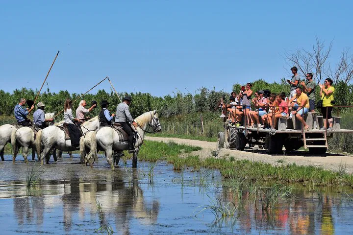 Camargue Heart: An Immersive Wildlife & Tradition Experience