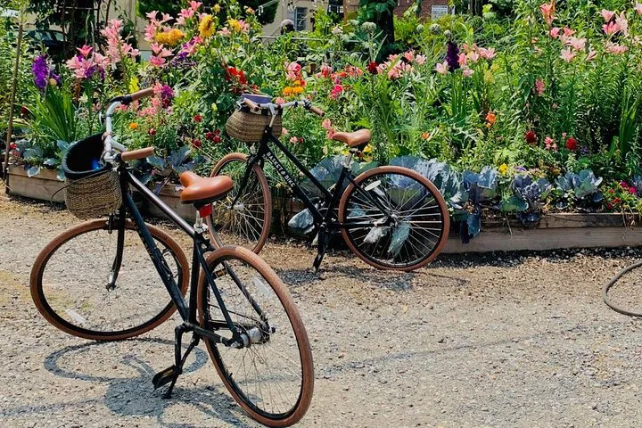Richmond's Artsy Bike Tour: Quirk Hotel & Secret Gardens