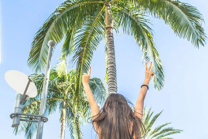 Discover LA's Iconic Landmarks: A Half-Day Adventure