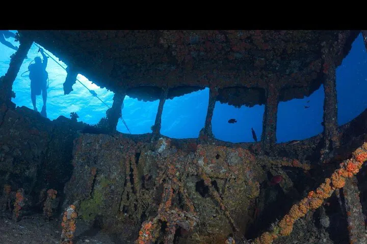 Waikiki Dive: Wreck & Reef Scuba Adventure