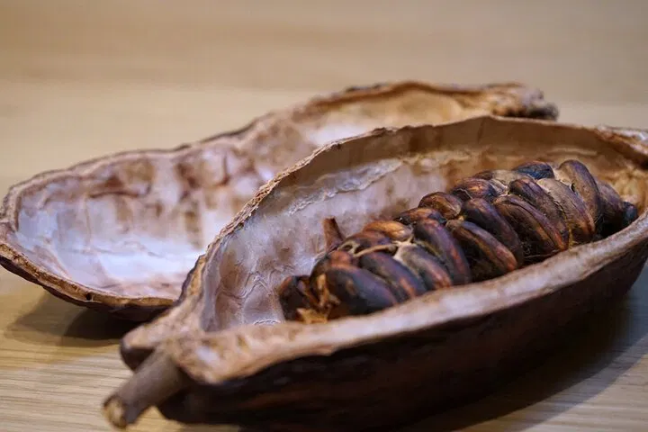 Turin's Chocolate Paradise: A Decadent Tasting Journey