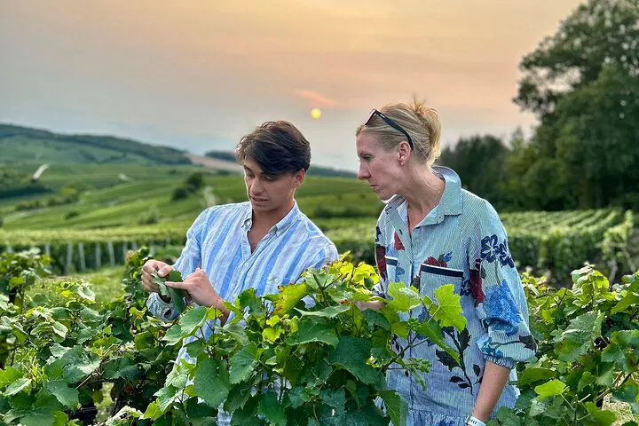 Champagne Dreams: Luxury Wine Tour from Paris