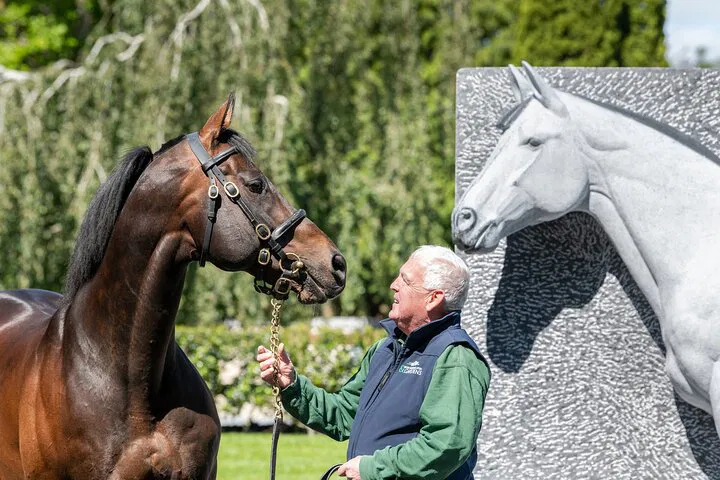Irish Stud & Gardens: Skip-the-Line Entry!