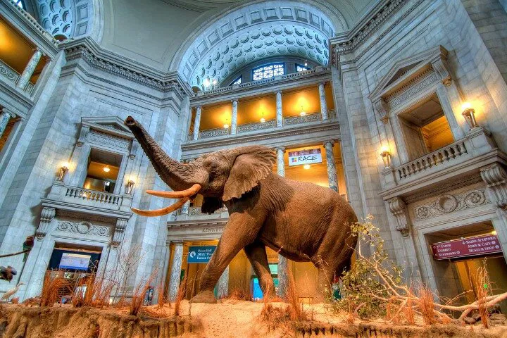 History & Nature: Smithsonian Adventure in One Day!