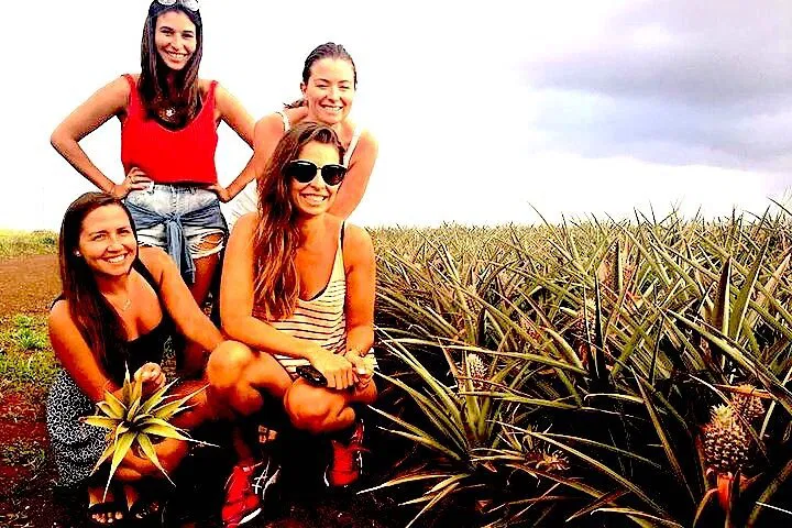 Oahu's Premier Small-Group Island Adventure: Unveiling Paradise