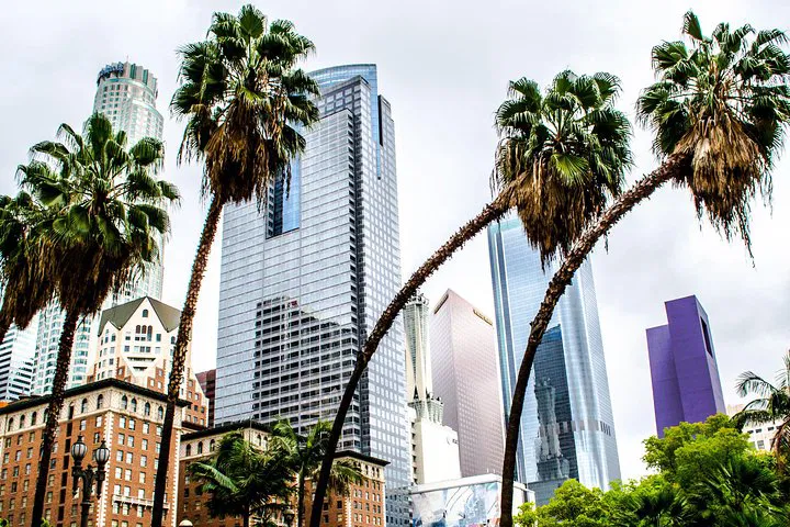 LA Layover: Private Tour of Santa Monica, Venice & More!