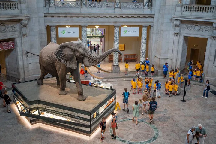 Unveiling History: Exclusive Guided Tour of Smithsonian's Natural Wonders