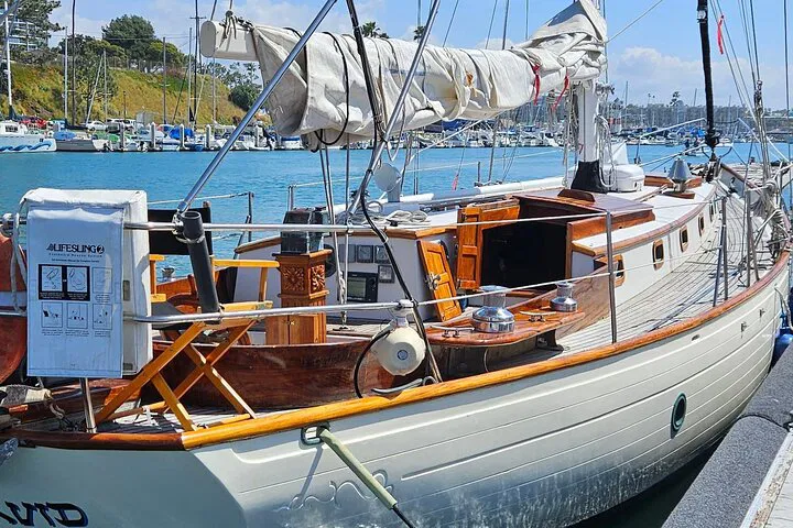 Oceanside Yacht Adventure: Whales, Dolphins & Thrilling Bow Rides!