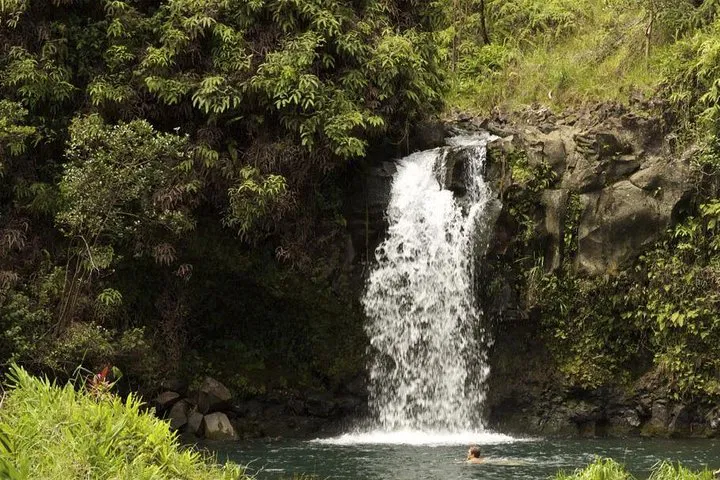 Maui's Waterfall & Rainforest Adventure: Journey into Paradise