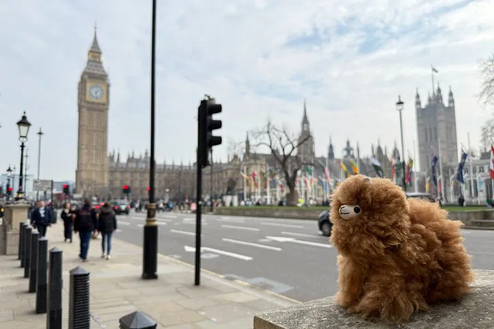 Royal London: Private Westminster Walking Tour