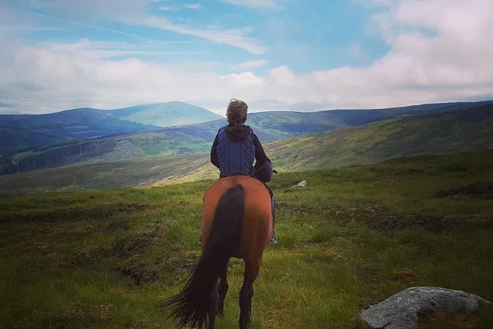 Wicklow Mountains Horse Trek: Ride Through Golden Falls Valley