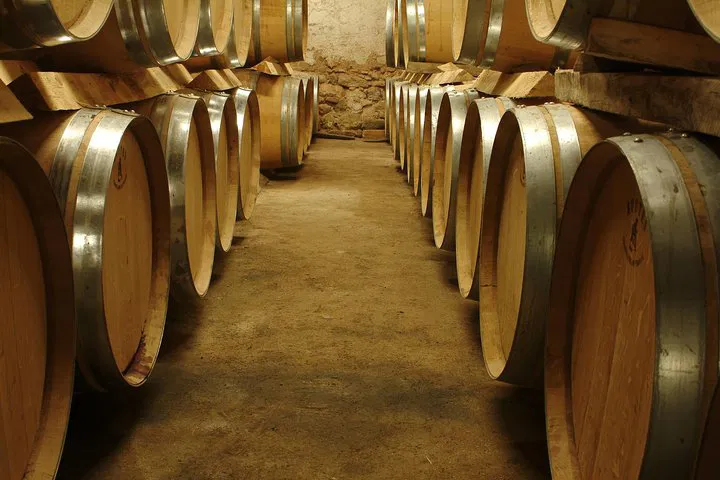 Unforgettable Provence Wine Tour: Taste, Explore & Indulge!
