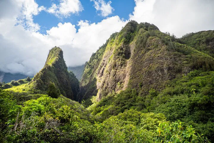 Maui's Best: Private Shore Excursion Adventure