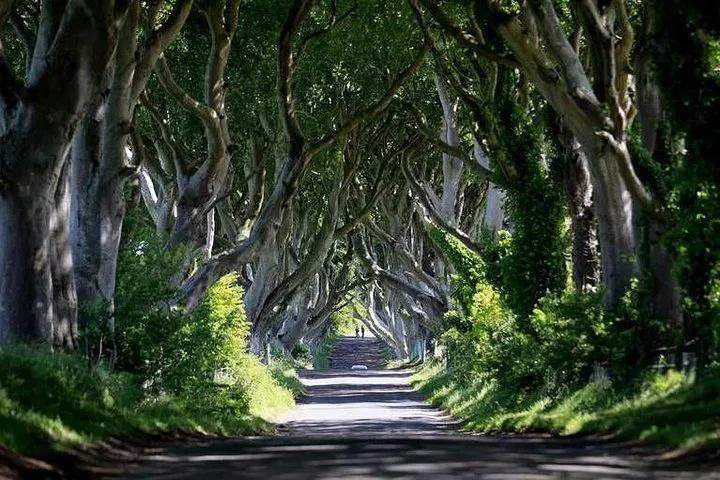 Uncover Westeros & Giants Causeway: A Game of Thrones Adventure