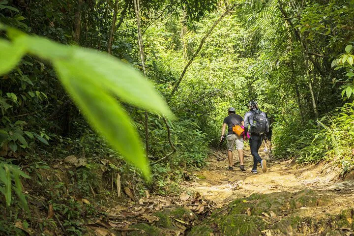 Unleash Your Inner Explorer: Phuket Jungle Trekking Adventure!