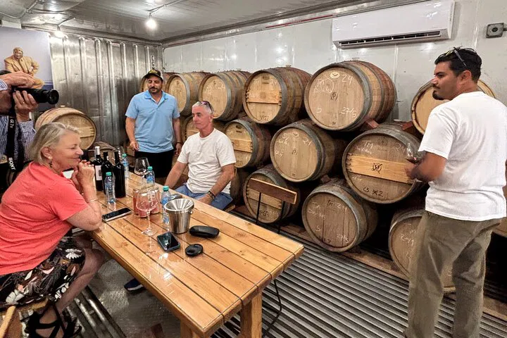 Valle de Guadalupe Wine Tour with a Local Concierge