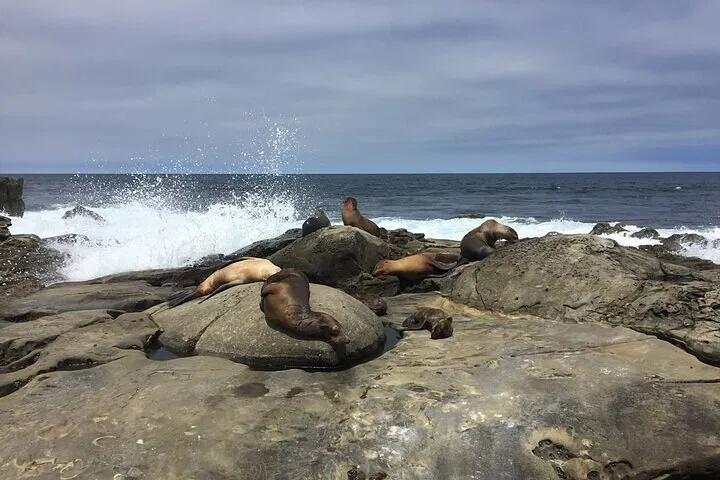 Coronado Island: Full Day Private San Diego Tour